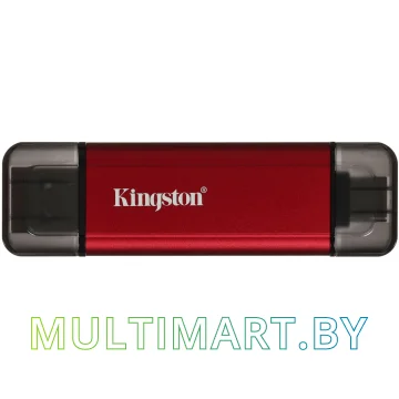 Внешний накопитель Kingston Dual Portable SSD (SPSD/512GB)